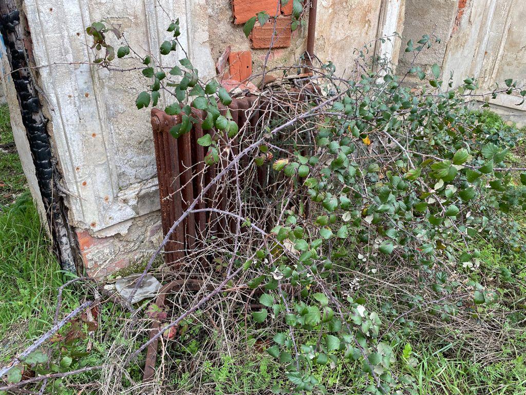 Mansión abandonada del productor 6