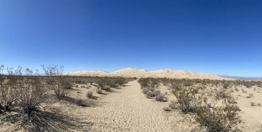 Dunas de Kelso en el desierto de Mojave