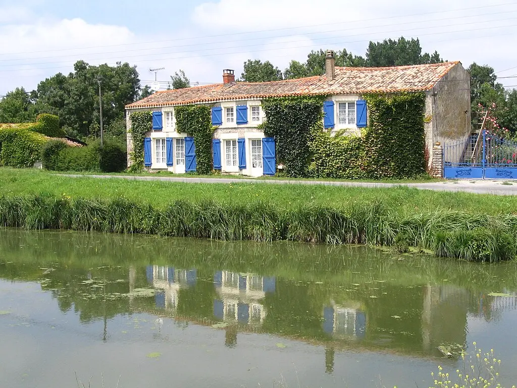 Casa tradicional en el Marais Poitevin, Francia, con fachada cubierta de vegetación y ventanas azules, reflejándose en el canal.