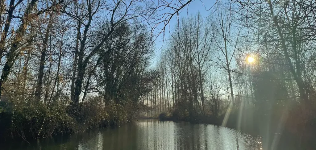 Canal del Marais Poitevin rodeado de árboles invernales, con rayos de sol atravesando las ramas y reflejándose en el agua.