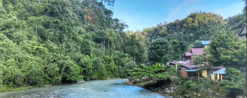 Río rodeado de selva en Bukit Lawang, un paraíso natural