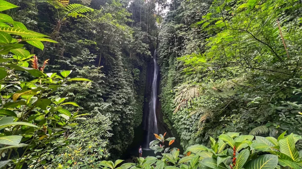 Cascada Leke Leke en Bali rodeada de una selva tropical, un rincón escondido de la isla