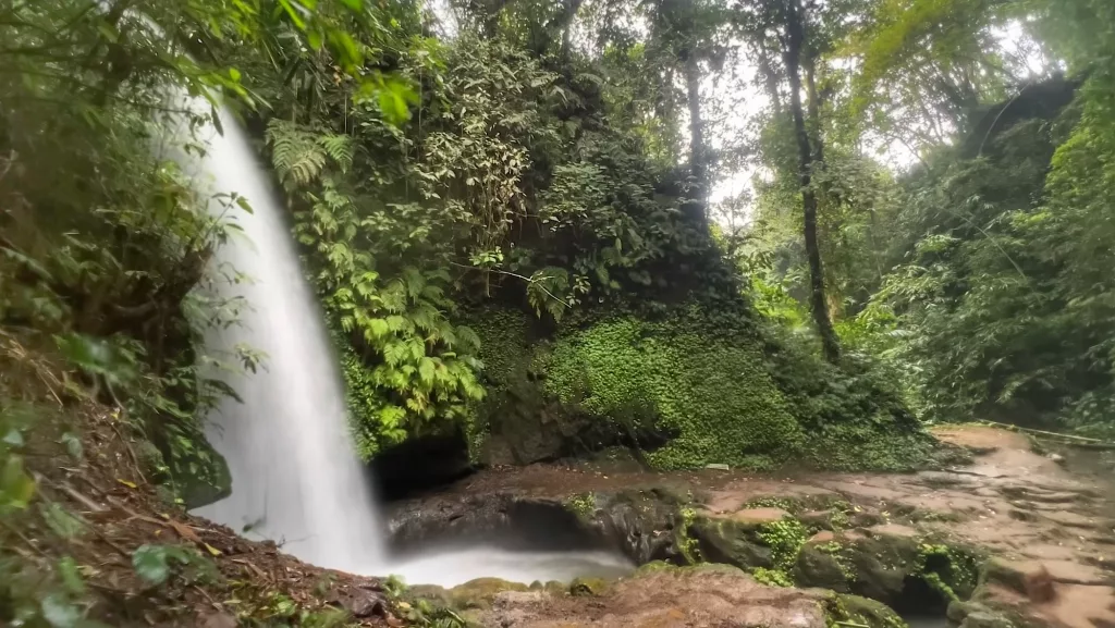 Cascada Manuaba en Ubud, un paraíso natural en Bali