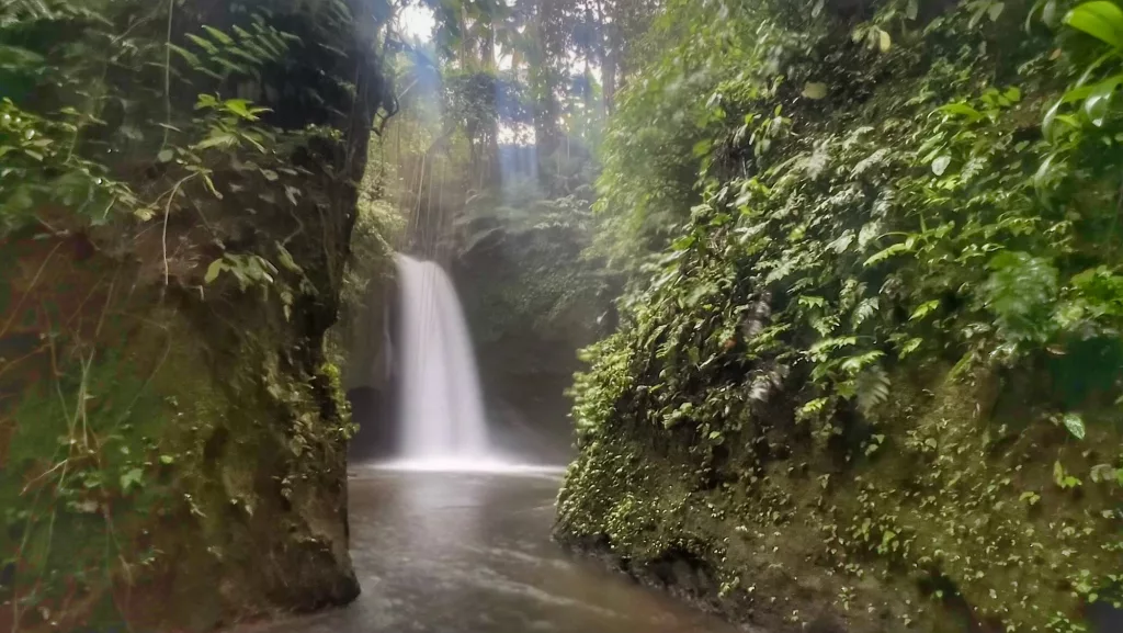 Cascada Manuaba en Ubud rodeada de vegetación, un paraíso escondido en Bali.