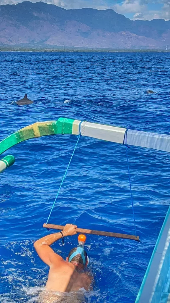 Experiencia única nadando con delfines en Lovina, Bali, en aguas cristalinas.