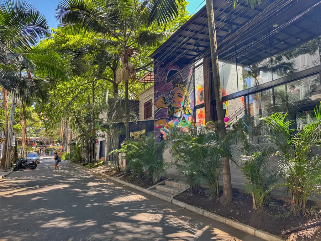 Calle de Provenza en Medellín con murales y ambiente bohemio