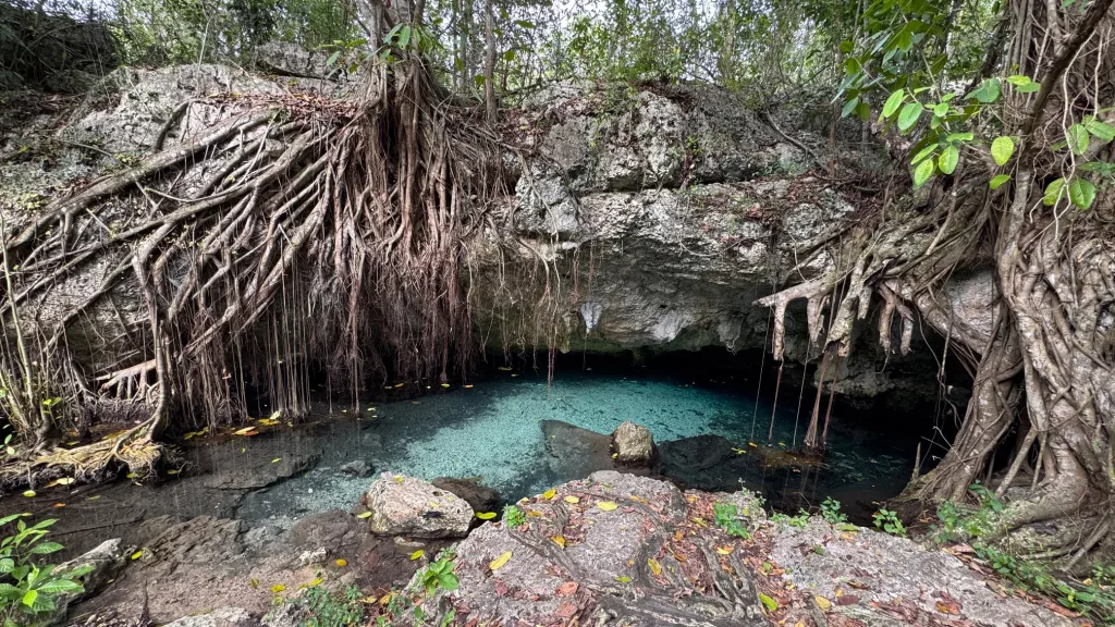 Manantial Padre Nuestro en el Parque Nacional Cotubanamá, rodeado de raíces y rocas en República Dominicana